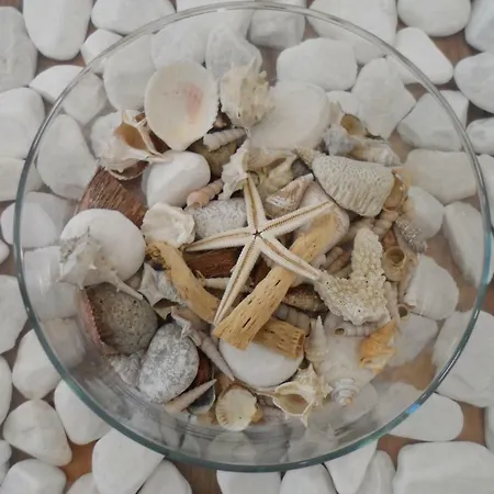 Playa Novigrad Istria